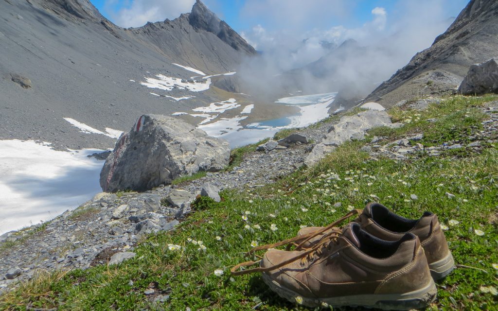 Utsikt mot Lac de la Forcla