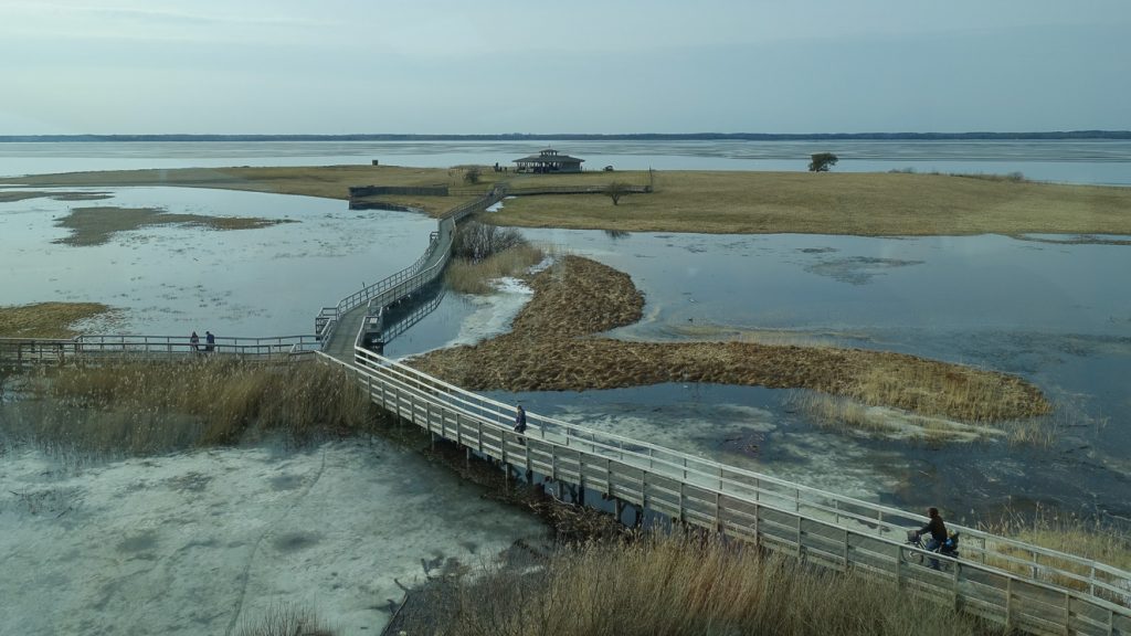 Fågeludden vid naturum Hornborgasjön