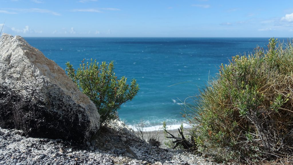 Utsikt över stenar, växter och hav