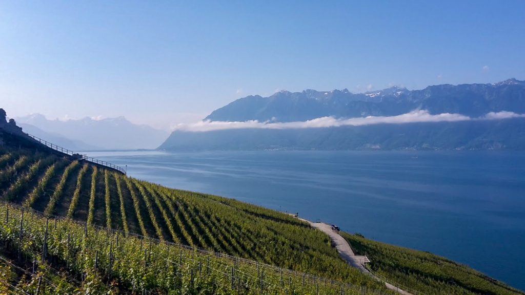Värlskulturarvet Lavaux med sina vinodlingar