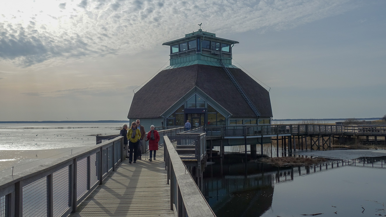 Naturum Hornborgasjön