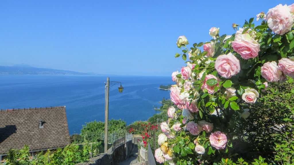 Världskulturarvet Lavaux vid Genèvesjön