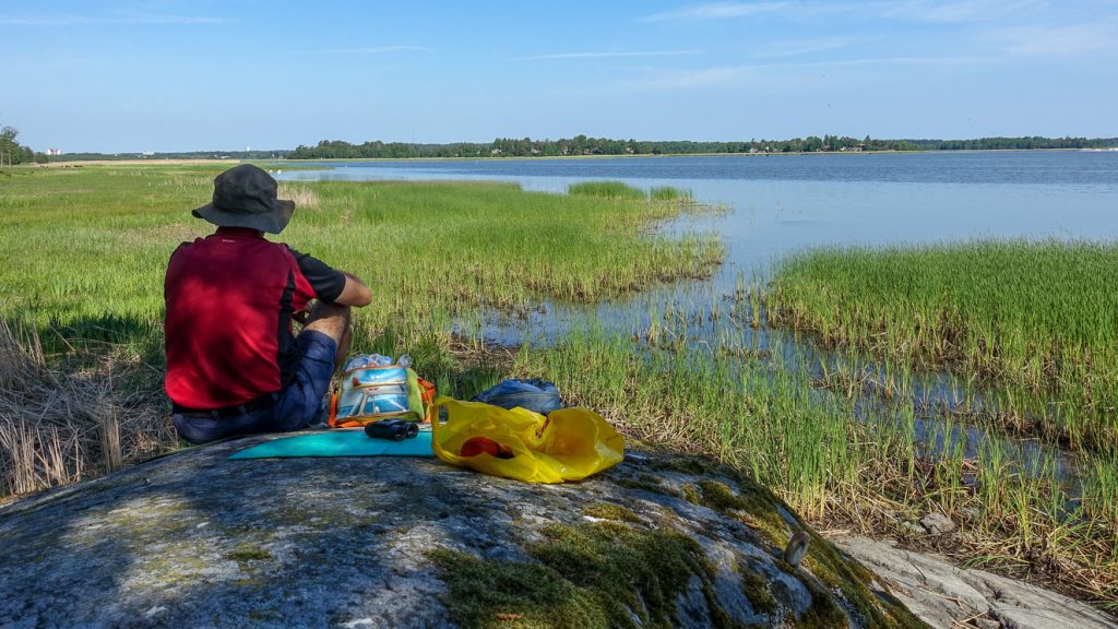 Paus vid Östersjön på Arnöhalvön