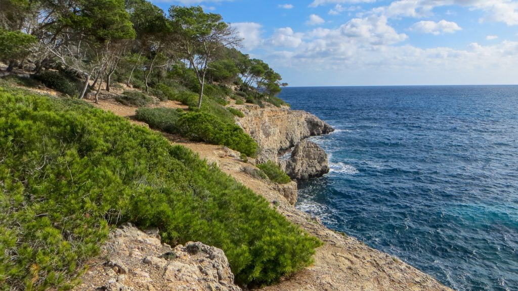 På klipporna nära Cala Mondragó