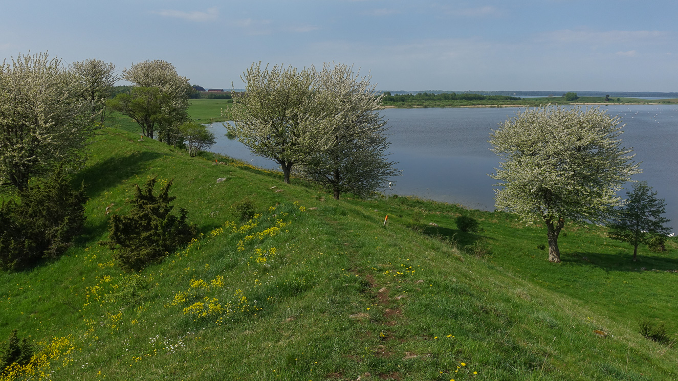 Utiskt över Hornborgasjön
