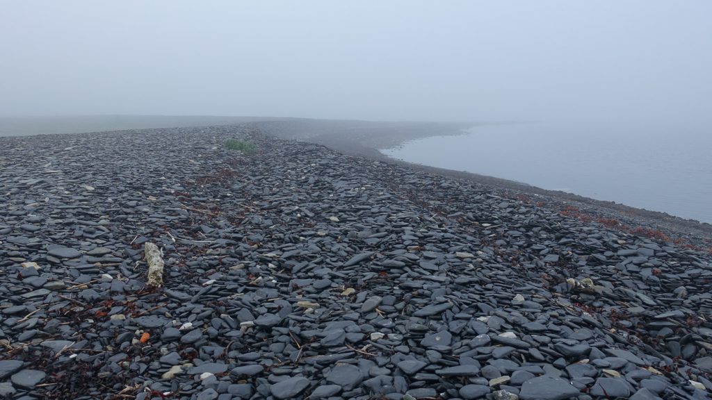 Dtranden vid Ottenby i dimma