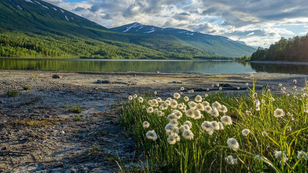 Naturskönt nära Bartistu