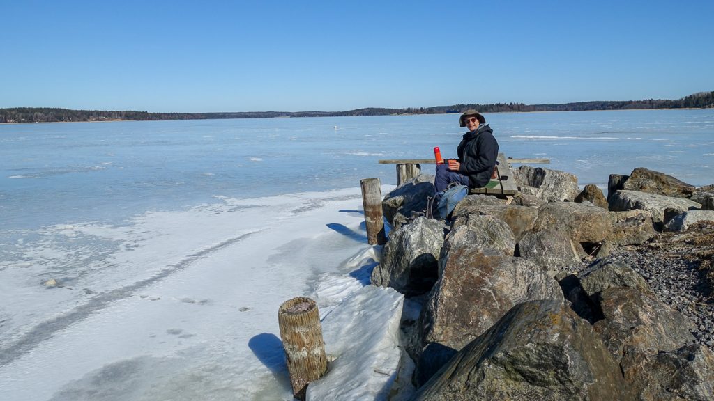 Paus vid Järnafjärden