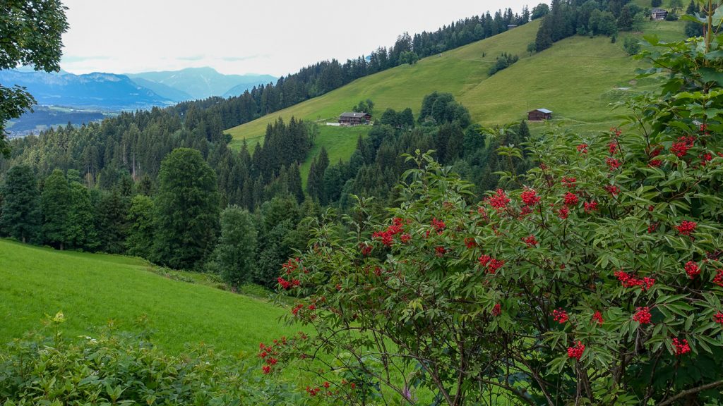 Vandring till Fleckalm