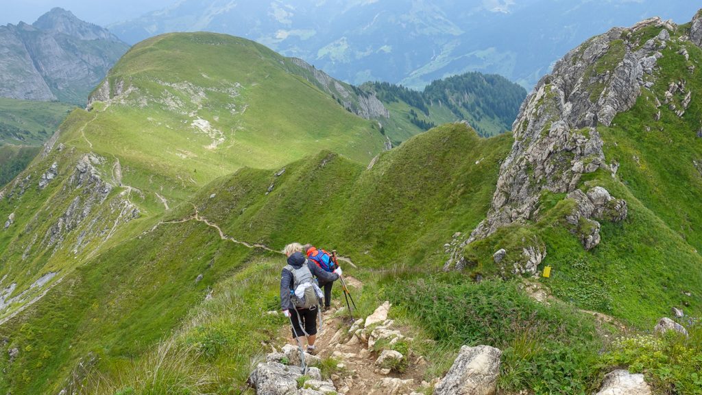 Ner från Schuflicker