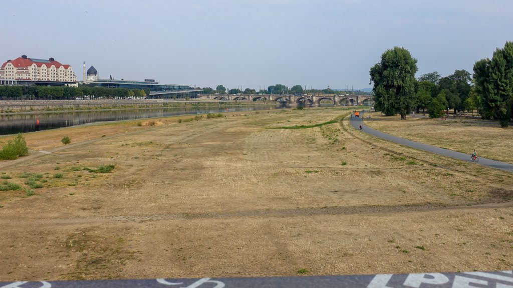 Brunbränt gräs vid Elbe i Dresden