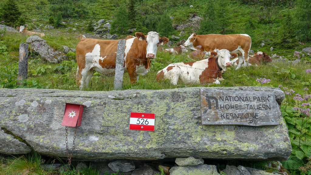 Skylt om Hohe Tauerns kärnområde och kor