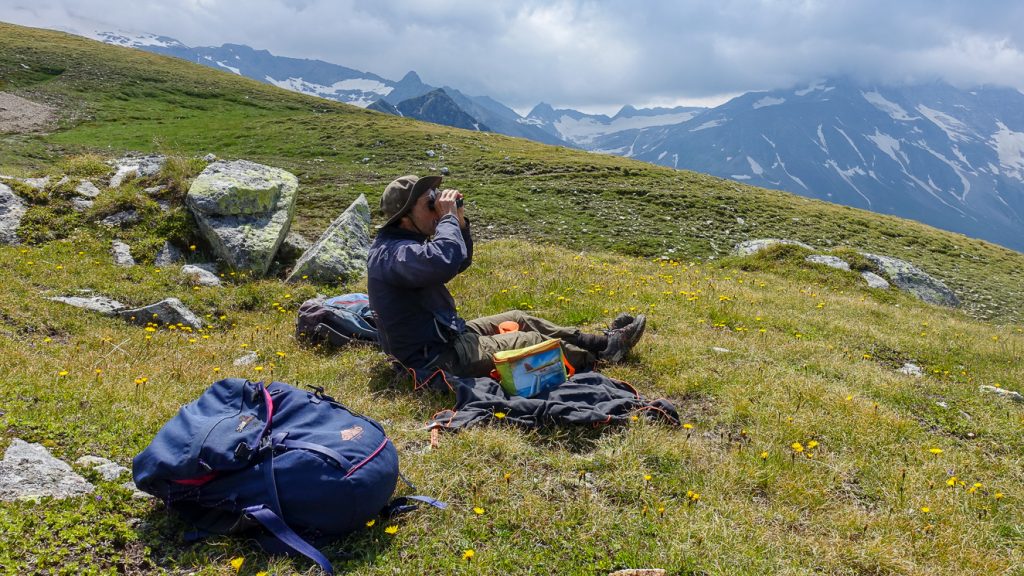 Paus nära Bockhartscharte