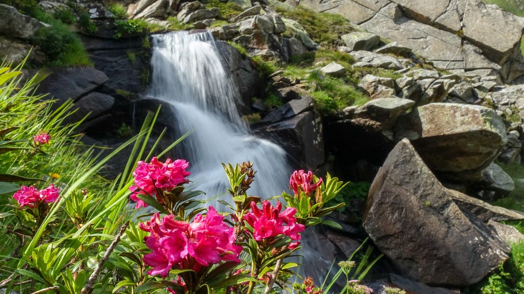 Vattenfall och alprosor