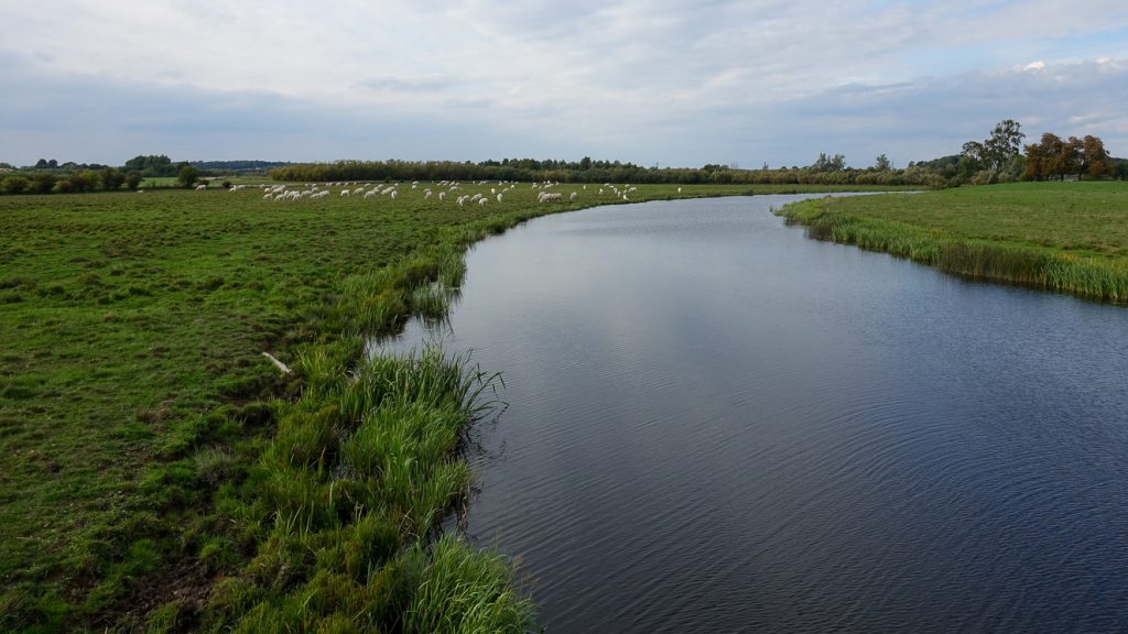 Hlege å under vandring på Linnérundan.
