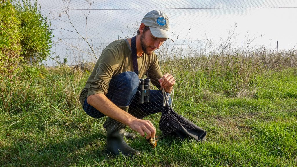 Sam lossar en fågel