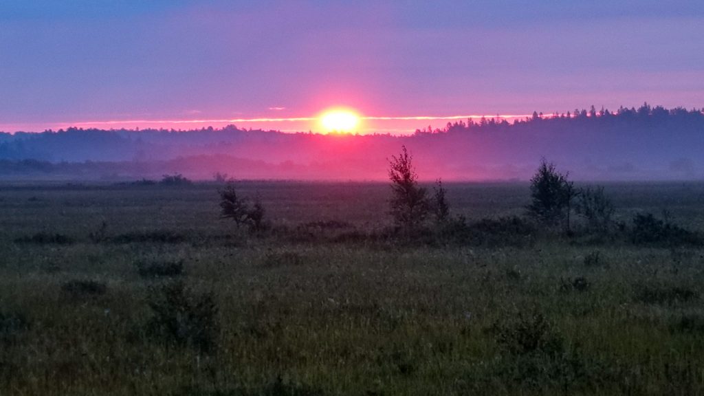 soluppgång över Store Mosse