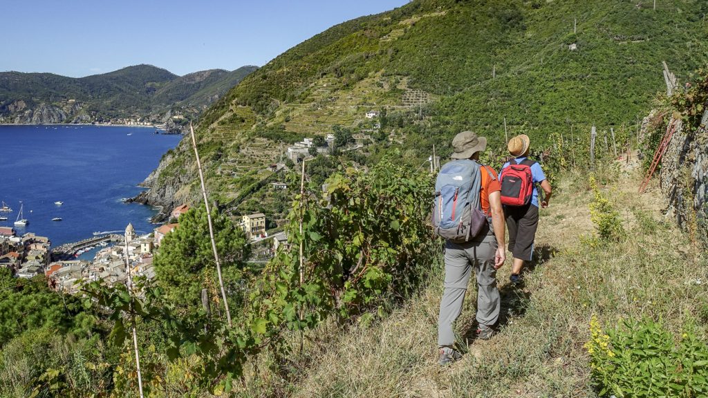 Carla och Eyal mellan vinrankorna