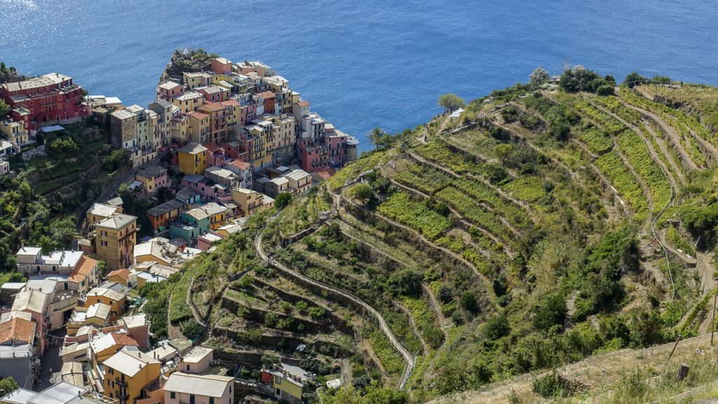 Manarola
