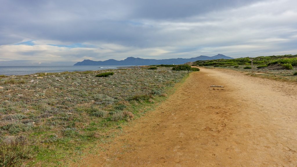Väg på stranden utanför Can Picafort.