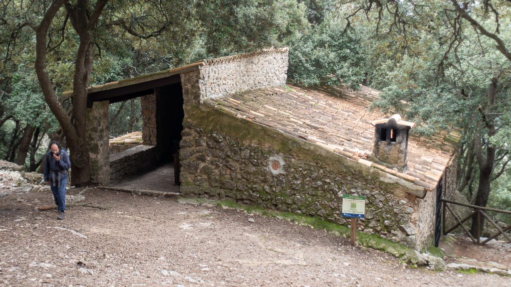 Refugi i steneksskog 