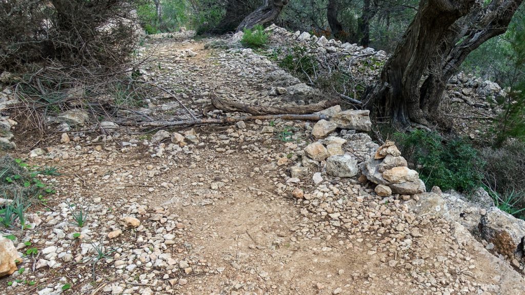 Markeringar på vandringsstig
